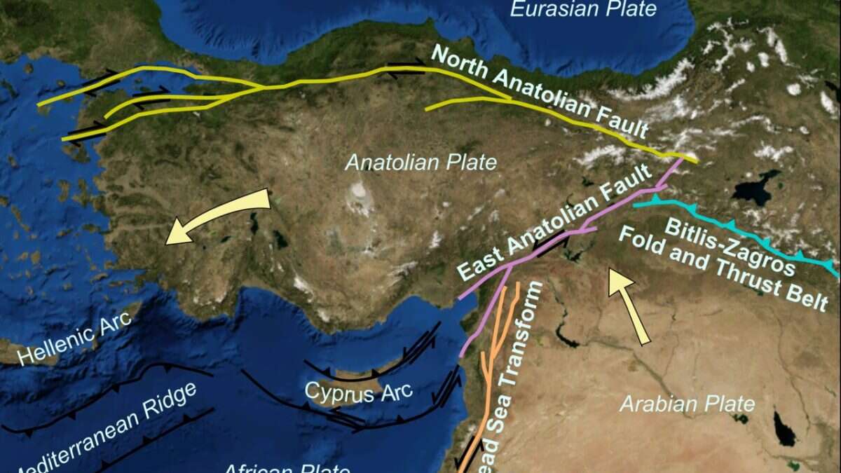 Qual è la causa del terremoto in Turchia e quali sono i rischi per l’Italia