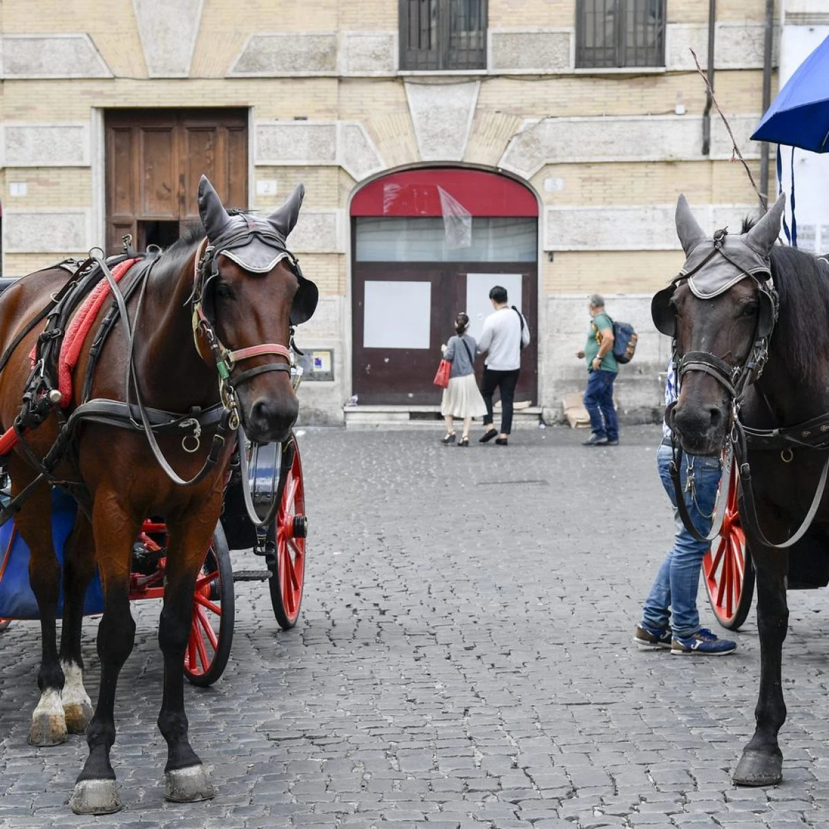 Bloccato il regolamento del Campidoglio sulle botticelle, cavalli restano in strada