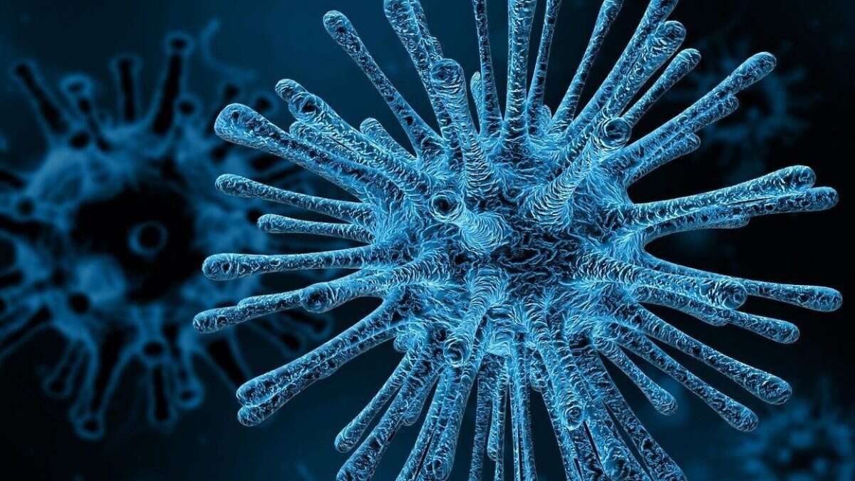 Scoperto un organismo che può sopravvivere nutrendosi di soli virus: è la prima volta