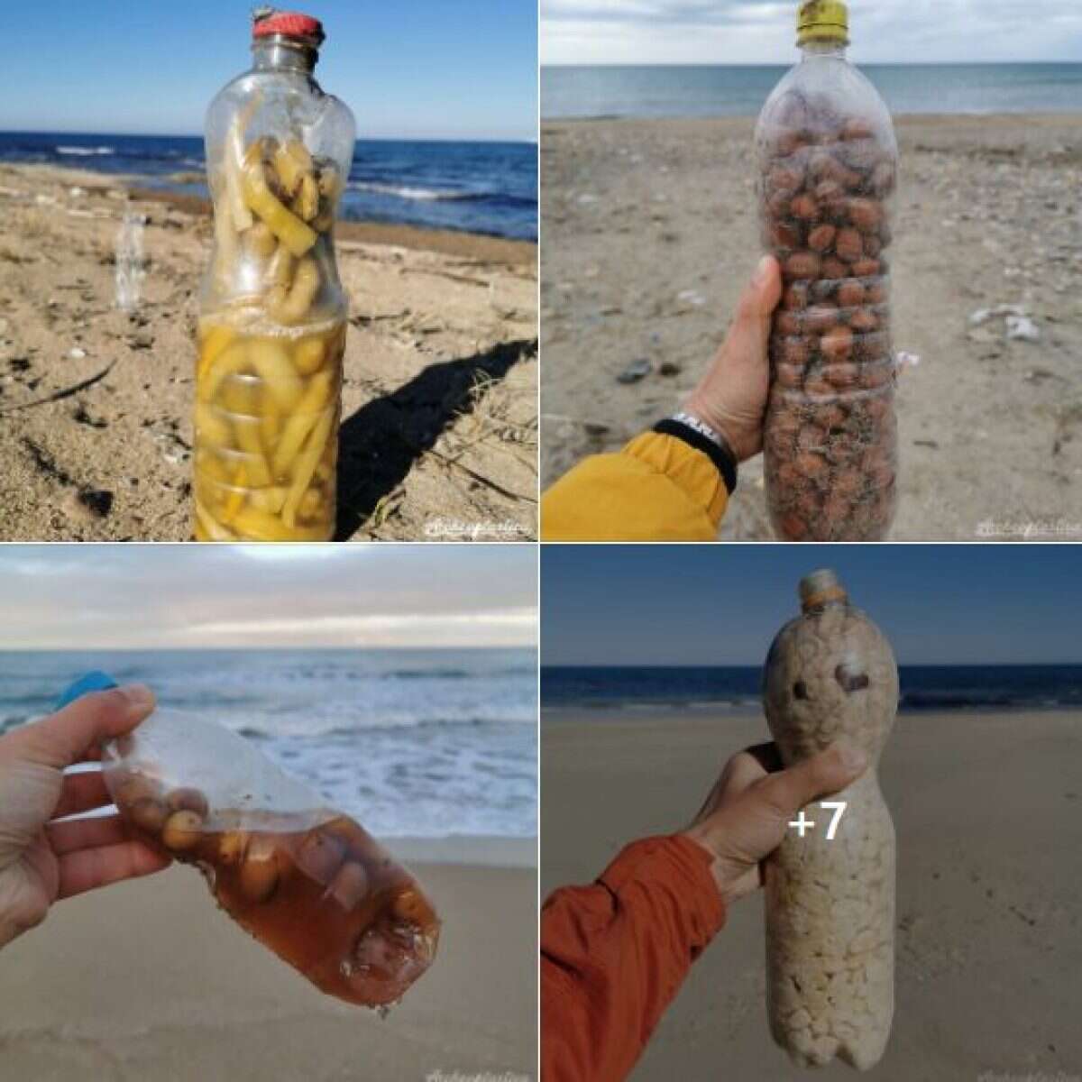 Tra i nuovi rifiuti sulle spiagge italiane anche bottiglie piene di ortaggi e olive in salamoia