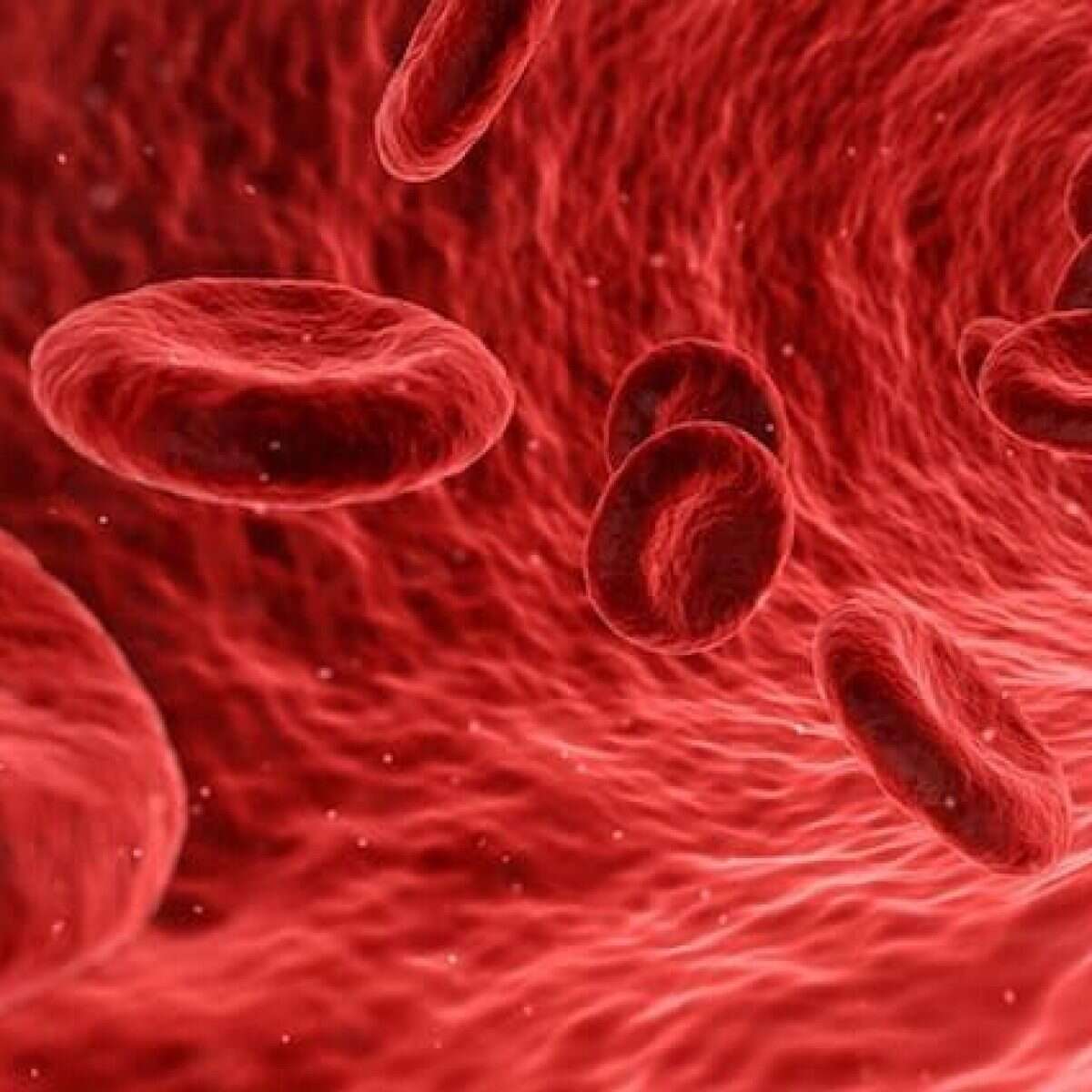 I pazienti Covid hanno un rischio maggiore di coaguli di sangue fino a 6 mesi dal contagio