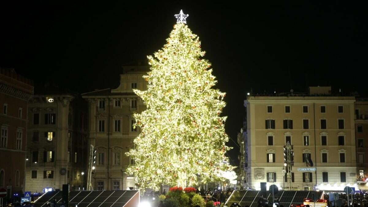 Folla per l'albero di Natale a Piazza Venezia: acceso con i pannelli fotovoltaici illumina Roma