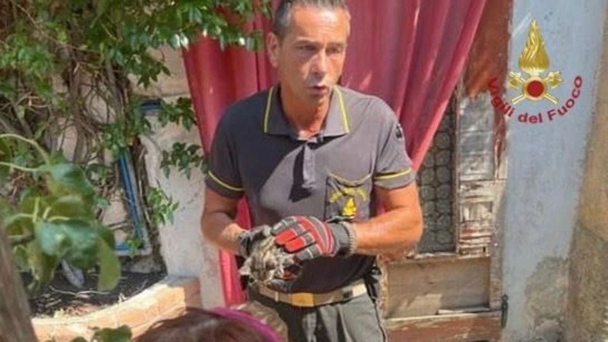 Gatto resta incastrato nella tubatura, i Vigili del Fuoco lo salvano con un würstel