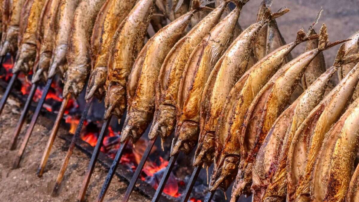 Ora sappiamo quando l’essere umano ha iniziato a cuocere il cibo