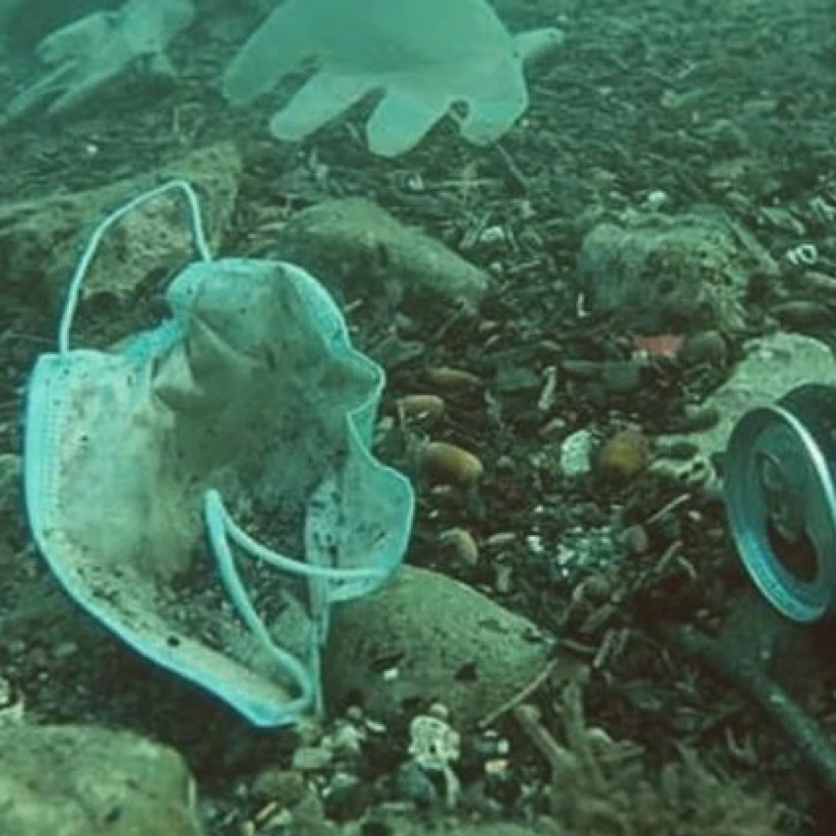 Stiamo uccidendo gli oceani (anche) buttando a terra le mascherine