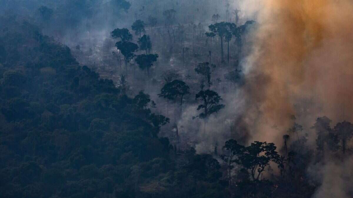 L’uomo ha distrutto oltre un terzo della rimanente foresta amazzonica