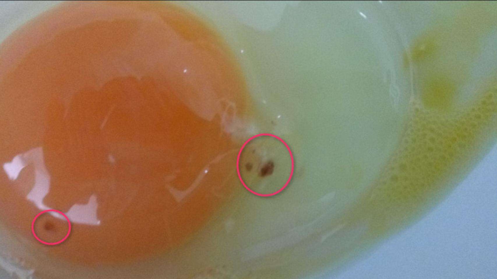 Qué esconden los huevos que tienen manchitas rojas en su interior: esto es lo que dice la ciencia