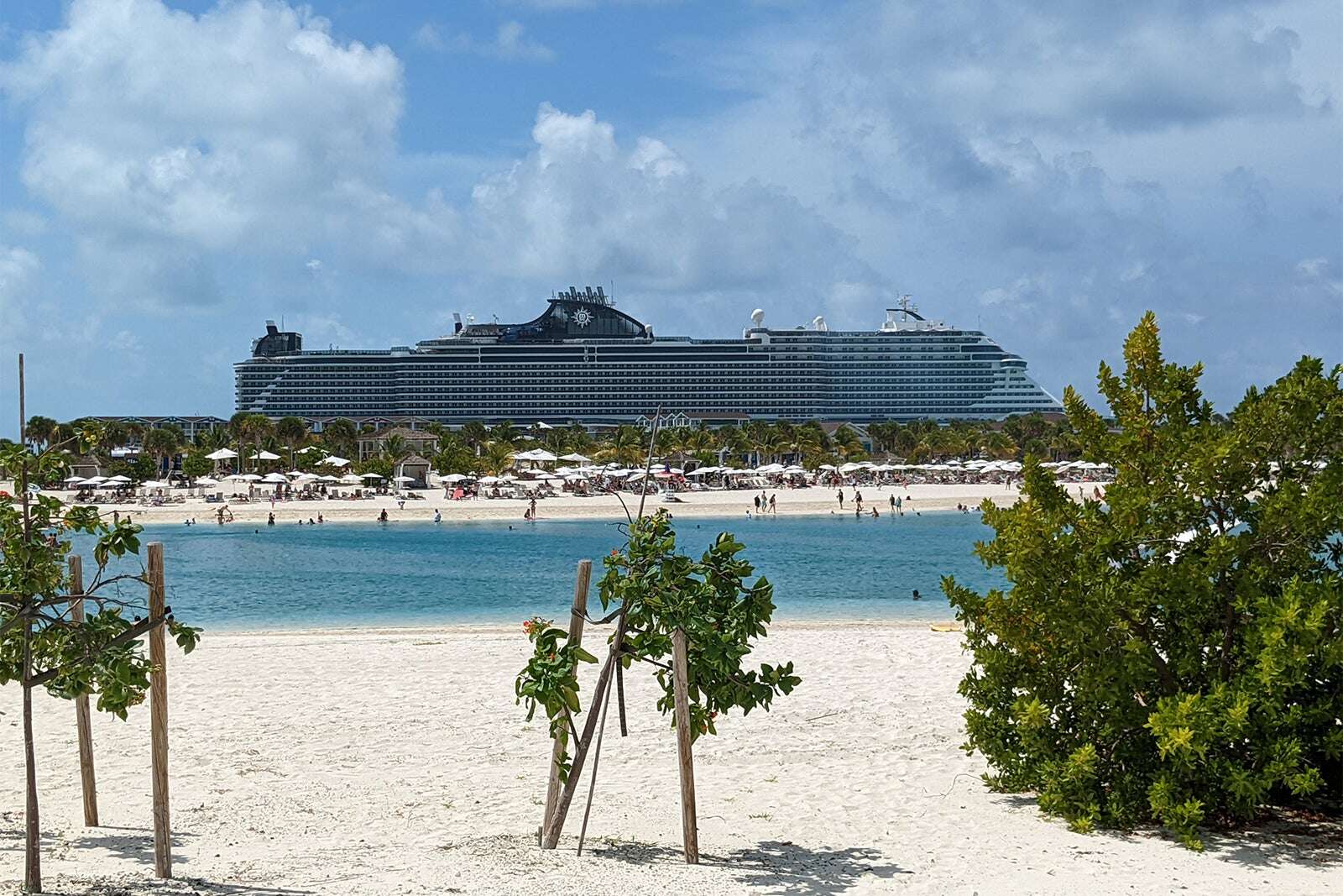 Ocean Cay MSC Marine Reserve: Everything you need to know