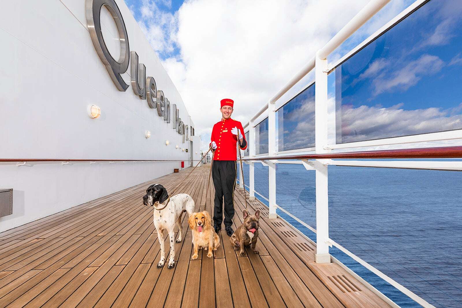 Are dogs allowed on cruise ships? These are the cruises that allow pets