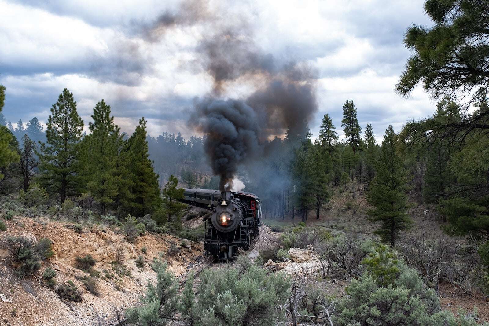 Grand Canyon Railway running steam-powered excursions on select dates in 2024