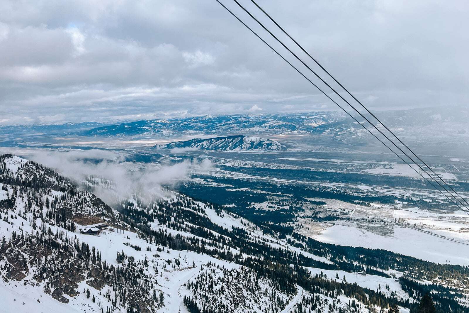 Waffles on the mountaintop and wildlife safaris: 7 family-friendly things to do in Jackson Hole during winter