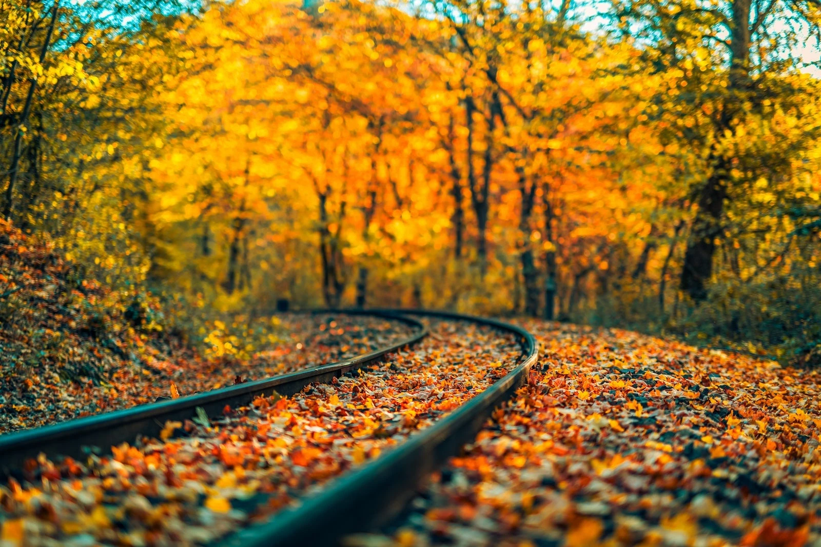 Amtrak fall sale: 30% and more off Northeast travel — but act fast