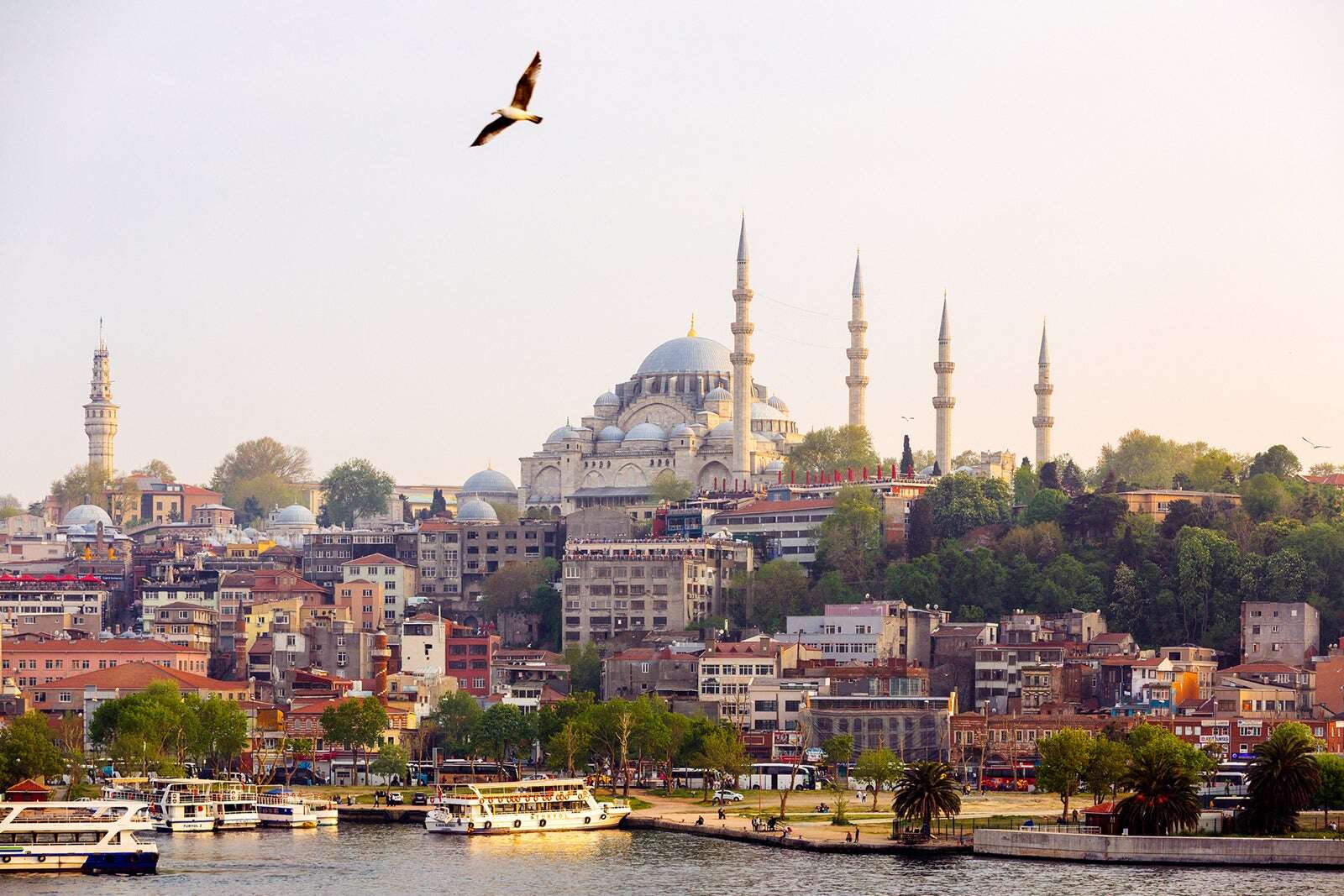 Book now: Turkish Airlines business class award availability for summer and fall travel