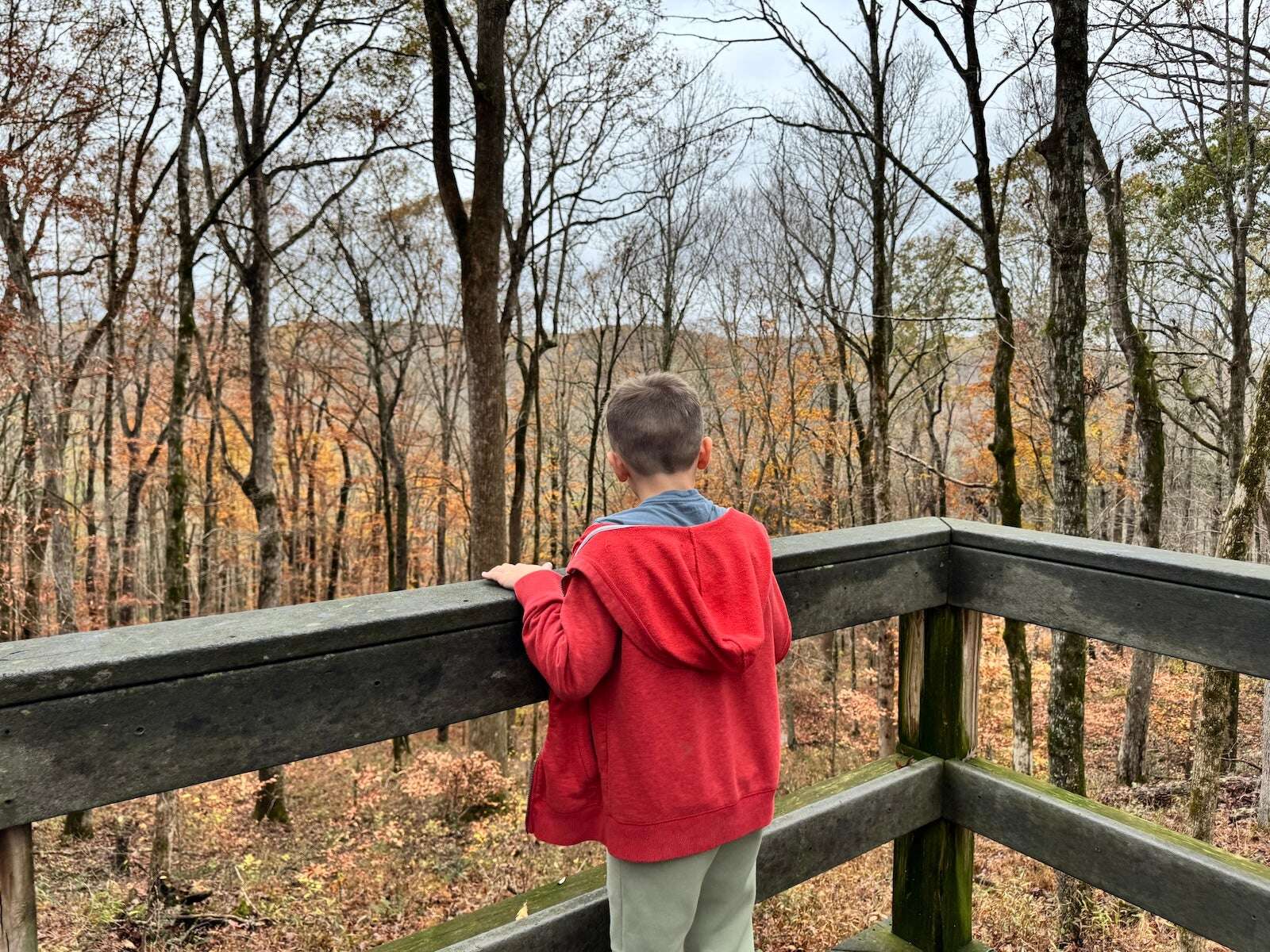 This Apple Maps update makes it easier to navigate national parks, so I took it on a ‘test hike’