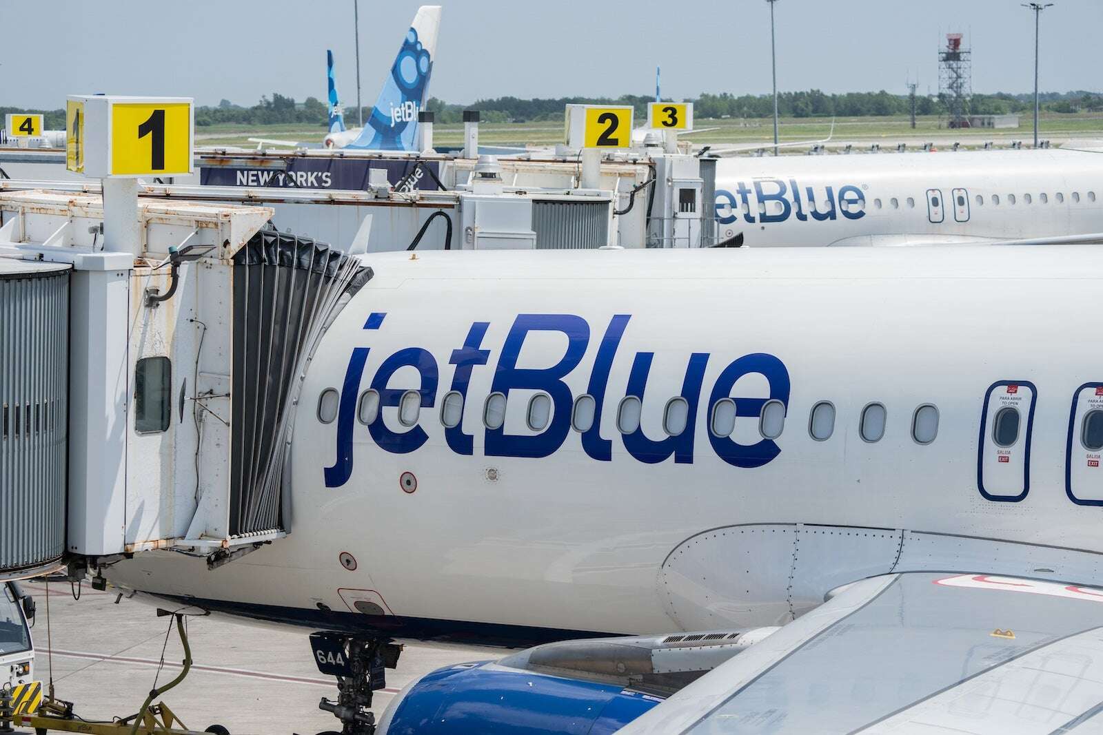 JetBlue to add domestic first-class cabin, airline confirms