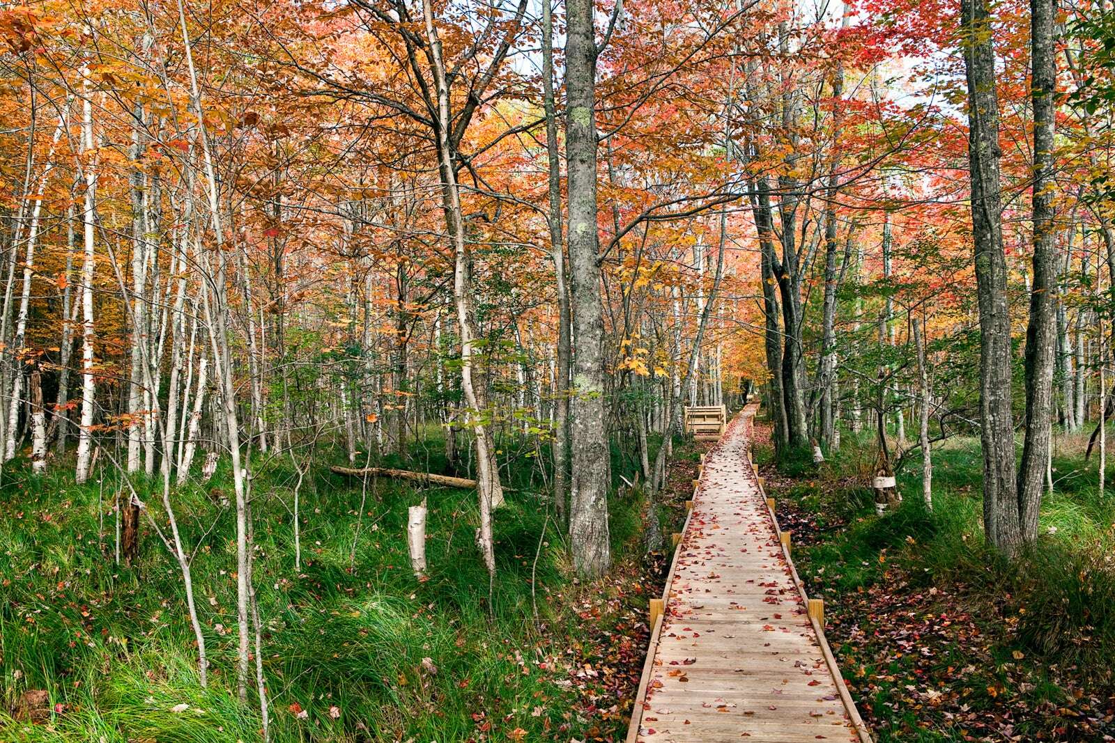 The best US national parks you should visit at least once (or twice)