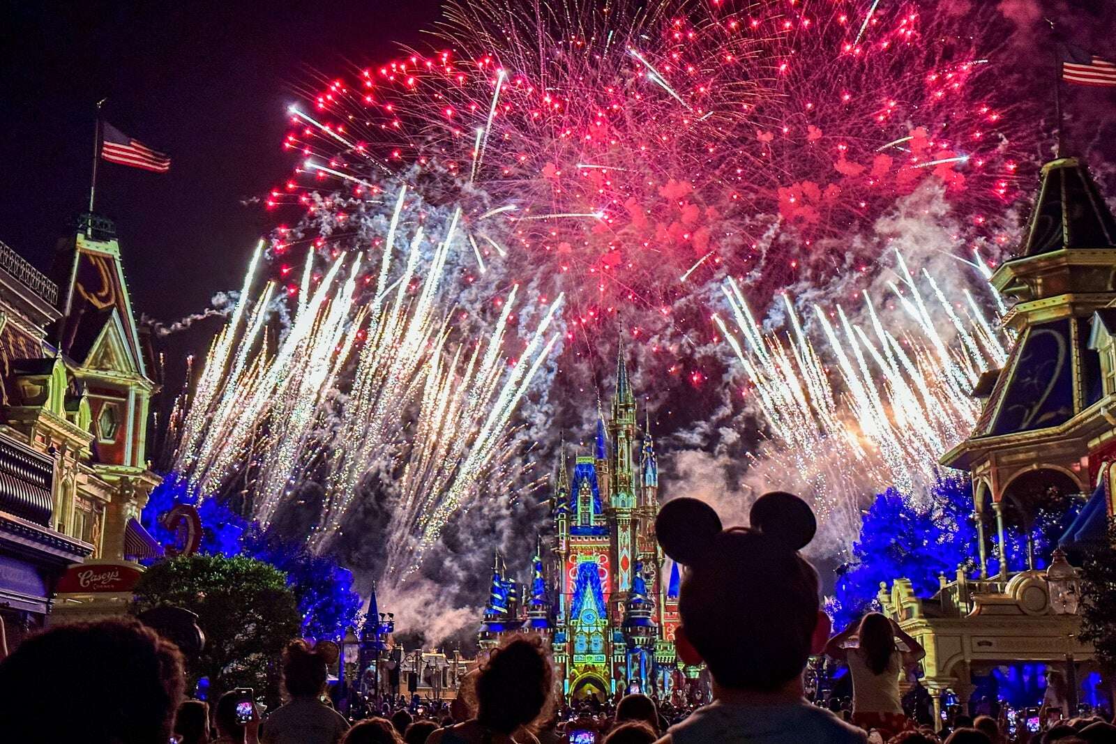 5 ways using an authorized Disney vacation planner will help you save money and improve your trip