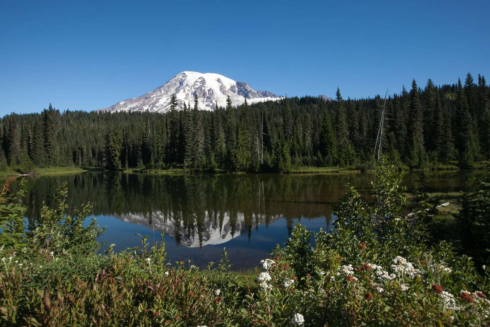 Mount Rainier joins the parade of National Parks requiring reservations: Here’s what you need to know