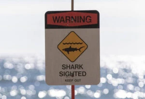 ‘Aggressive’ shark prompts warning signs at Nanakuli, Depots beach parks