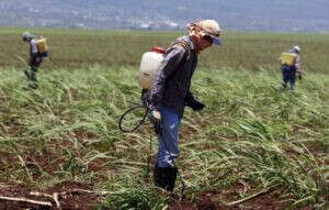 Agriculture Department to host pesticide collection on Kauai