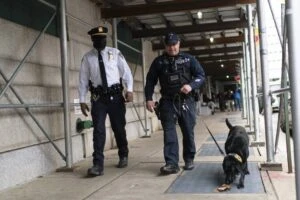 At least 6 U.S. states are considering tougher penalties for killing police dogs