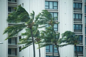 Wind, surf advisories in effect as brisk weather continues