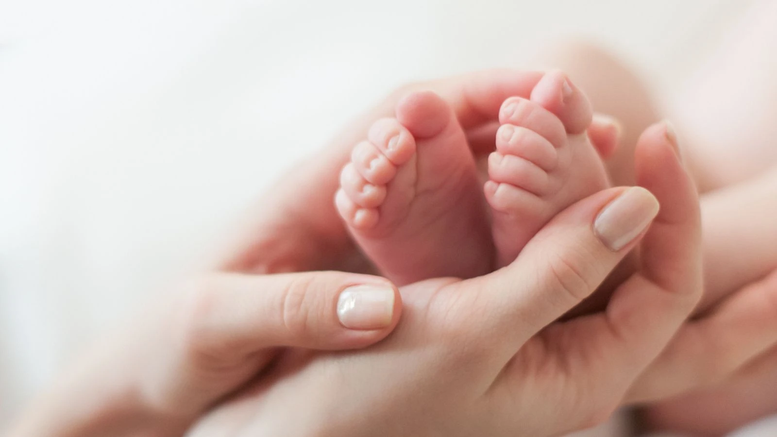 National invesitgation into NHS maternity services launched after families 'gaslit'