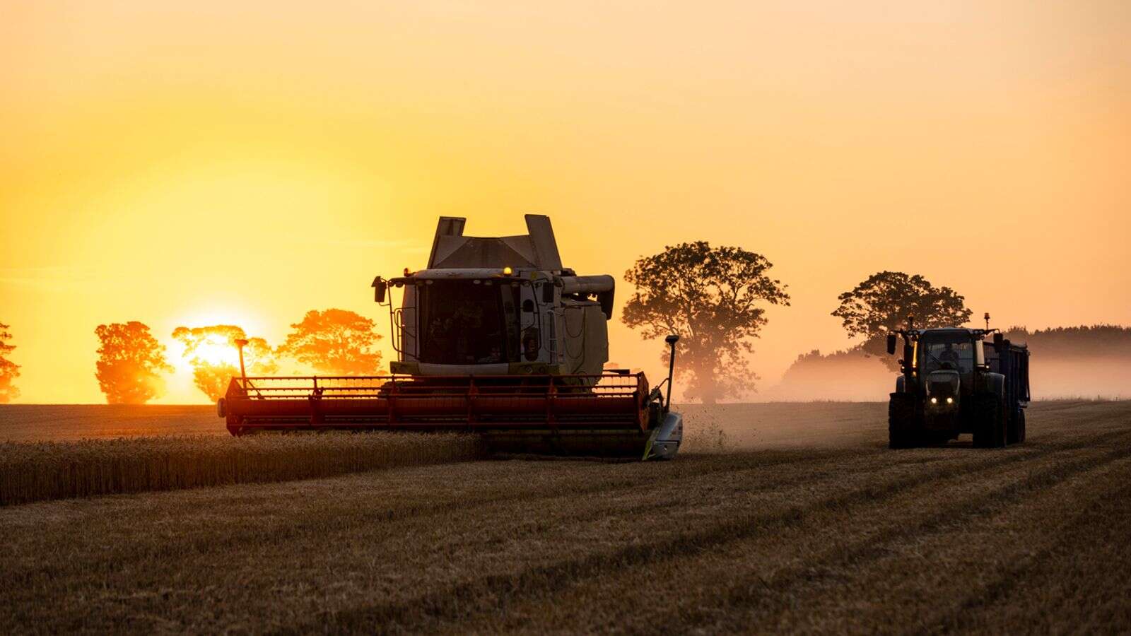 'Catastrophic': Food prices could rise due to farm inheritance tax change, farmers warn