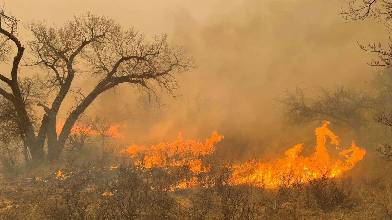 Disaster declaration issued and nuclear weapons plant shut down as Texas battles wildfires