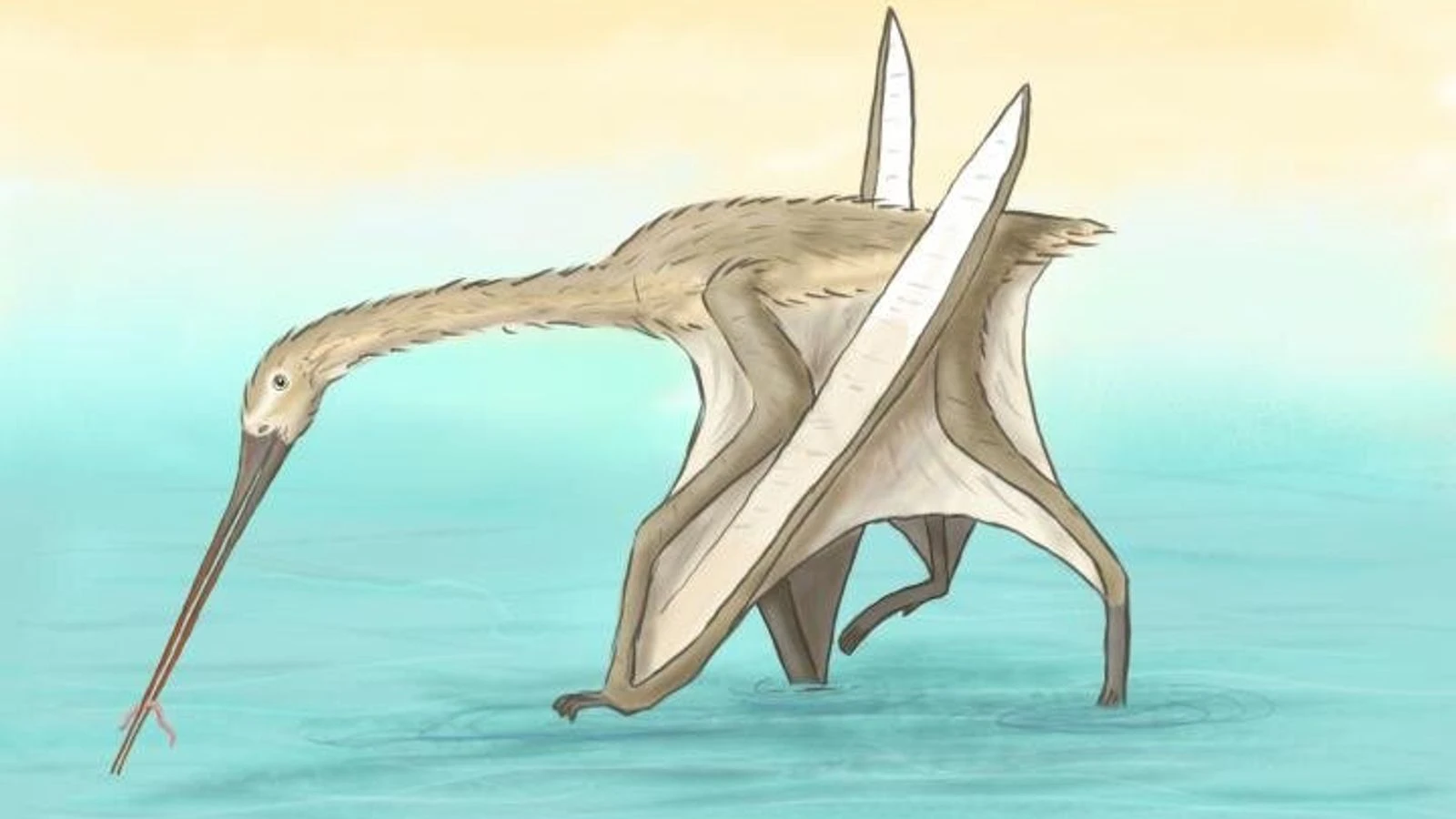 Unusual beak bone discovery reveals new pterosaur