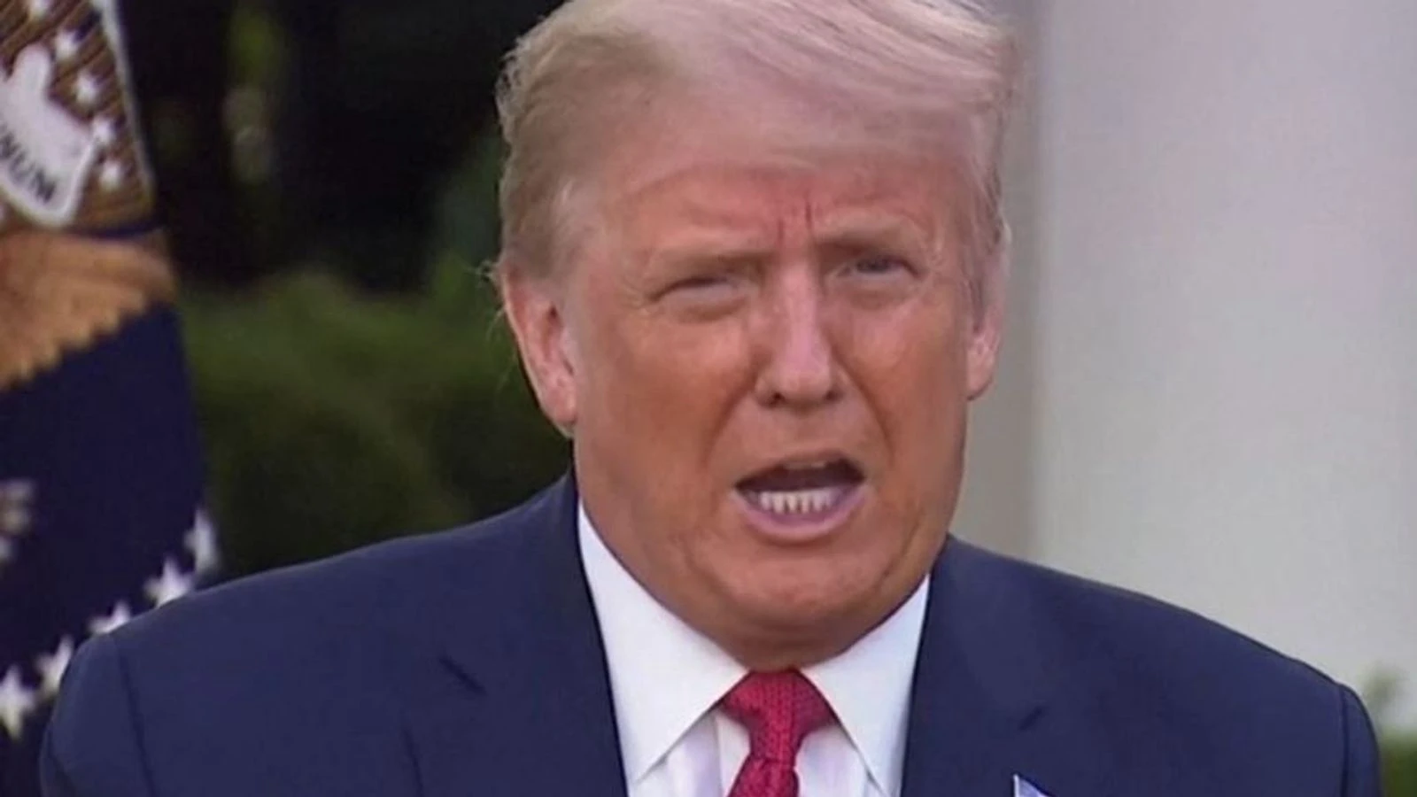 Trump 'at bottom of scale or free' of virus