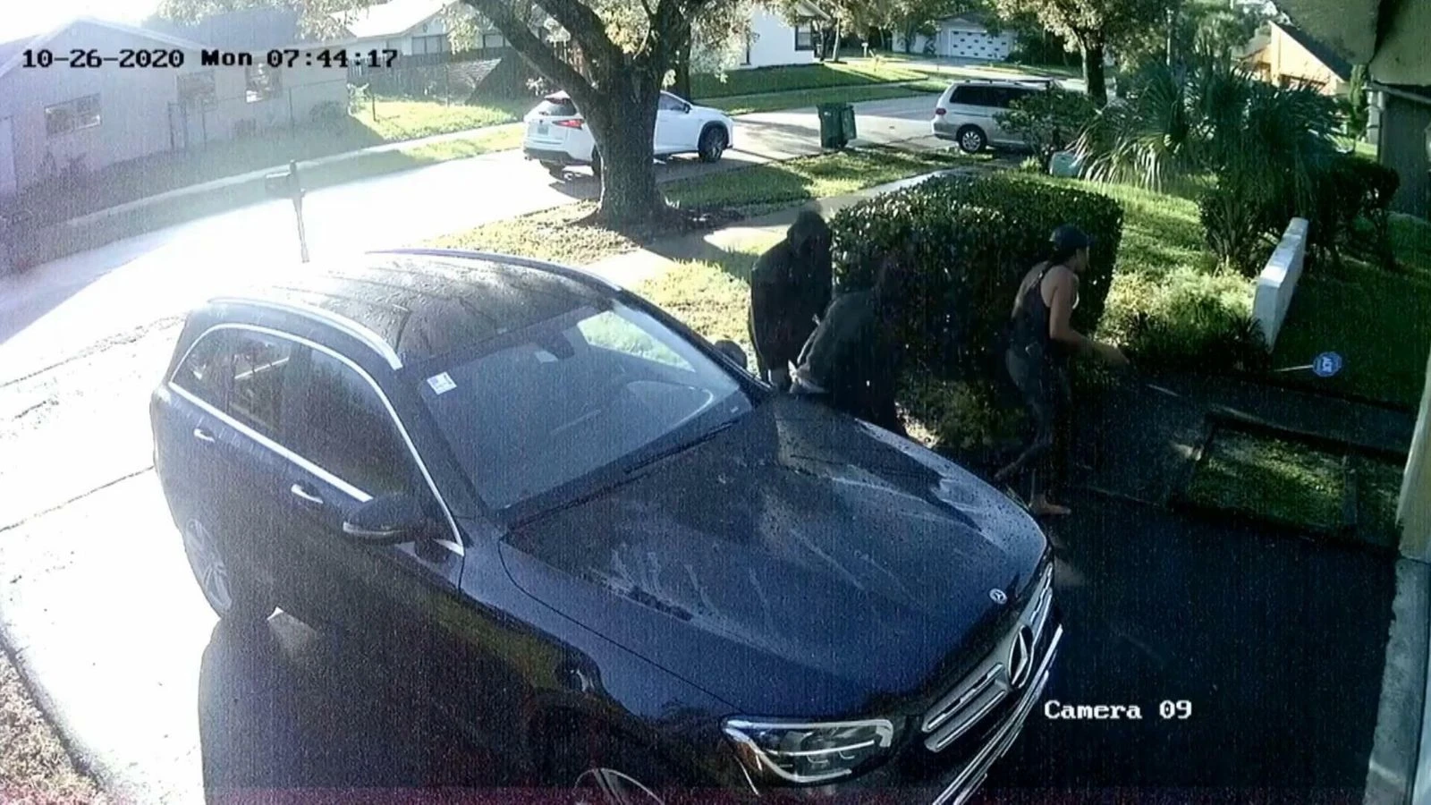 Woman ambushed in driveway by home invaders