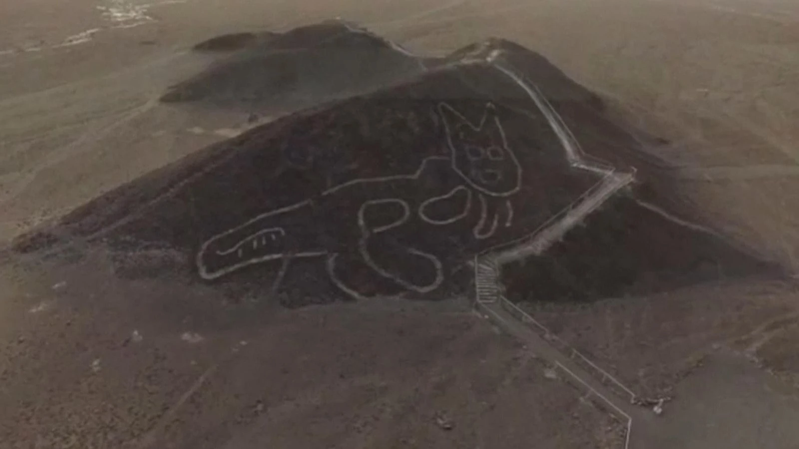 Mysterious 37m feline geoglyph discovered in Peru near famous Nazca Lines