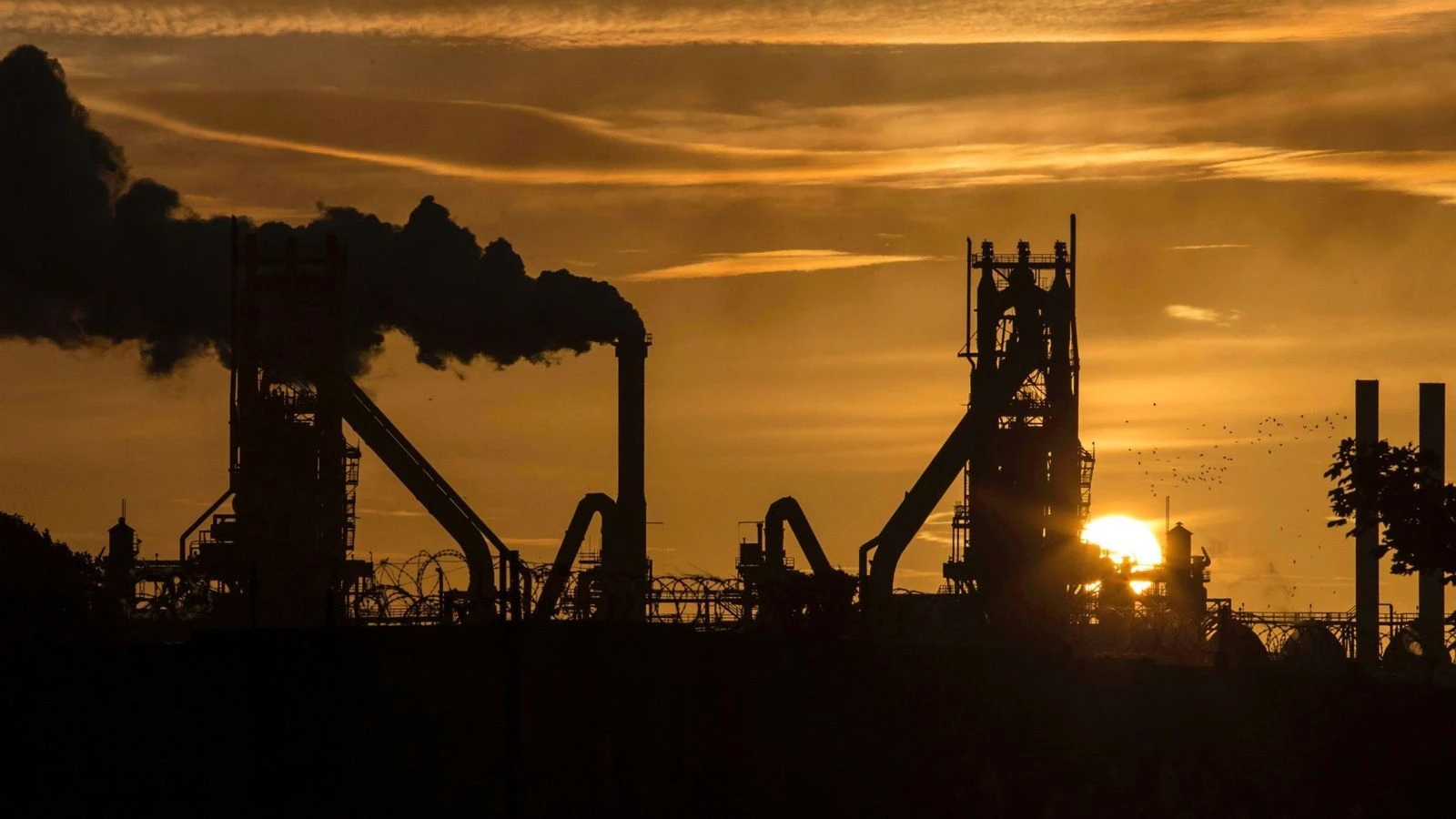 'Hammer blow' as government advised to drop steel quotas