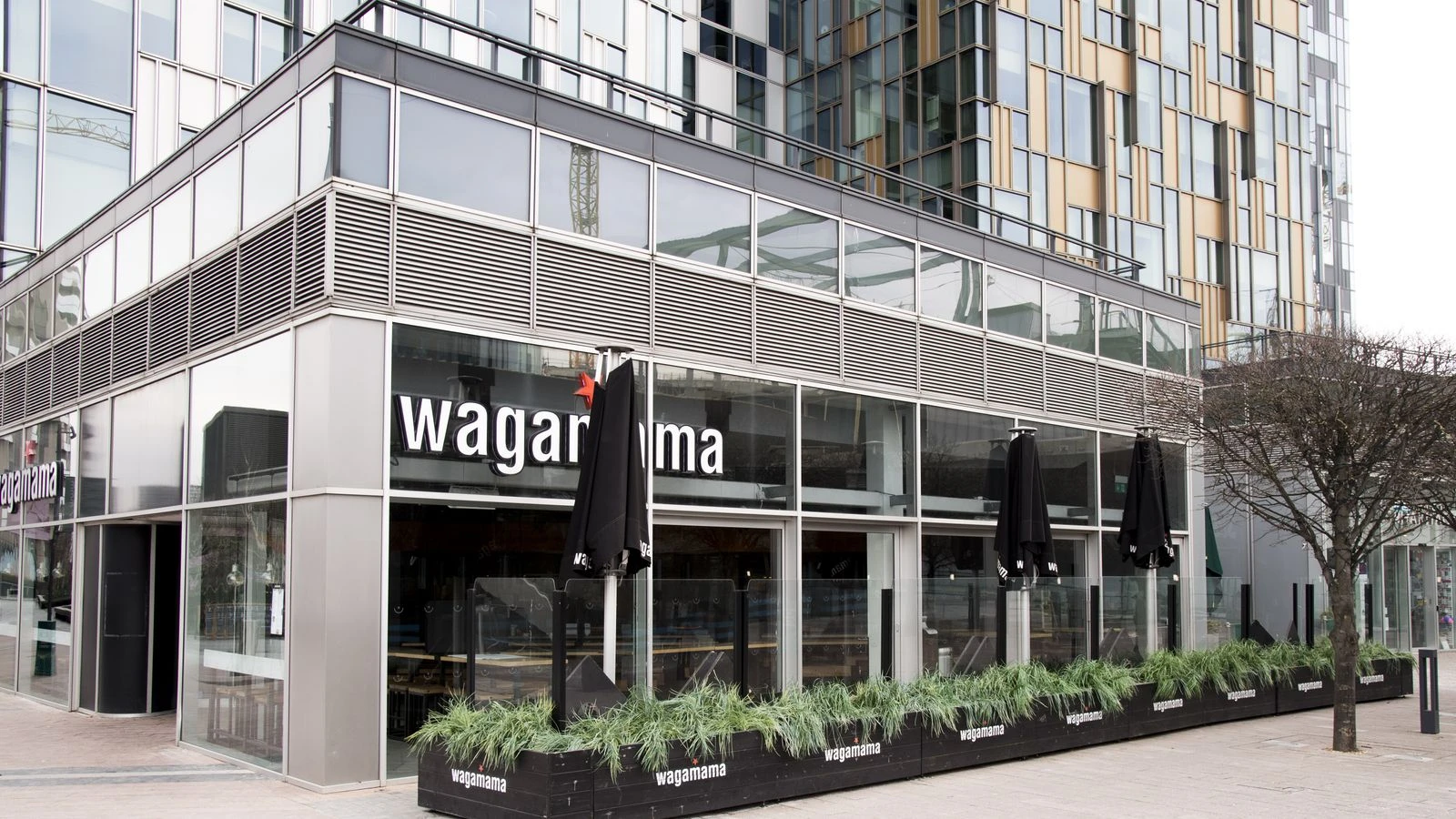 Wagamama owner reports 'very encouraging recovery' as restrictions ease