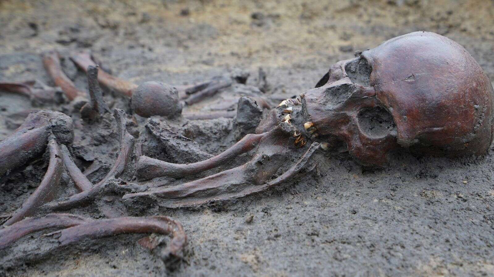 50 'well-preserved' skeletons unearthed