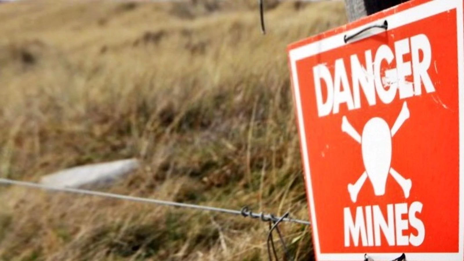 Falklands become mine-free almost 40 years after conflict