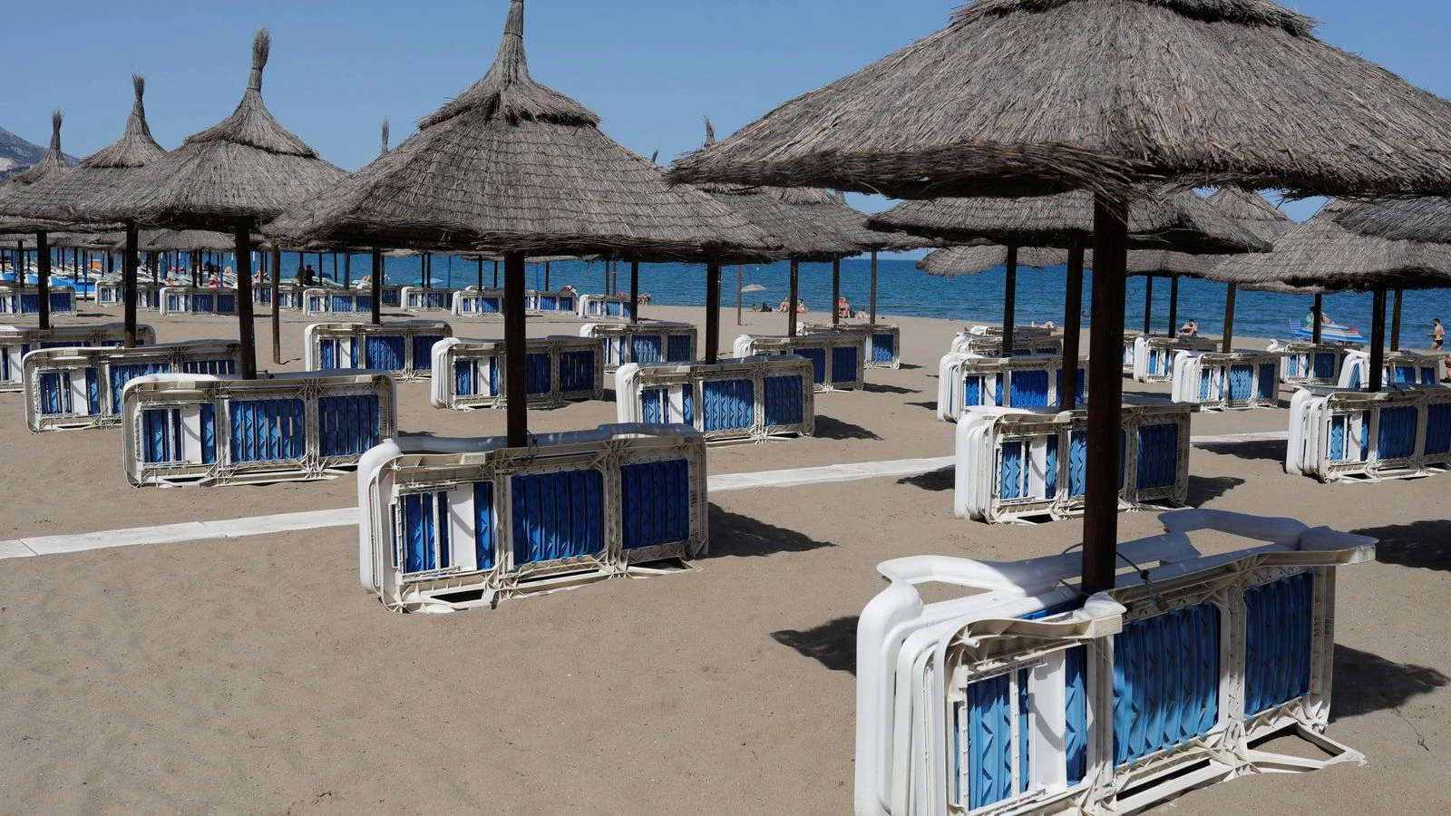 'Save our summer': Travel industry holds day of action calling for sector to be reopened