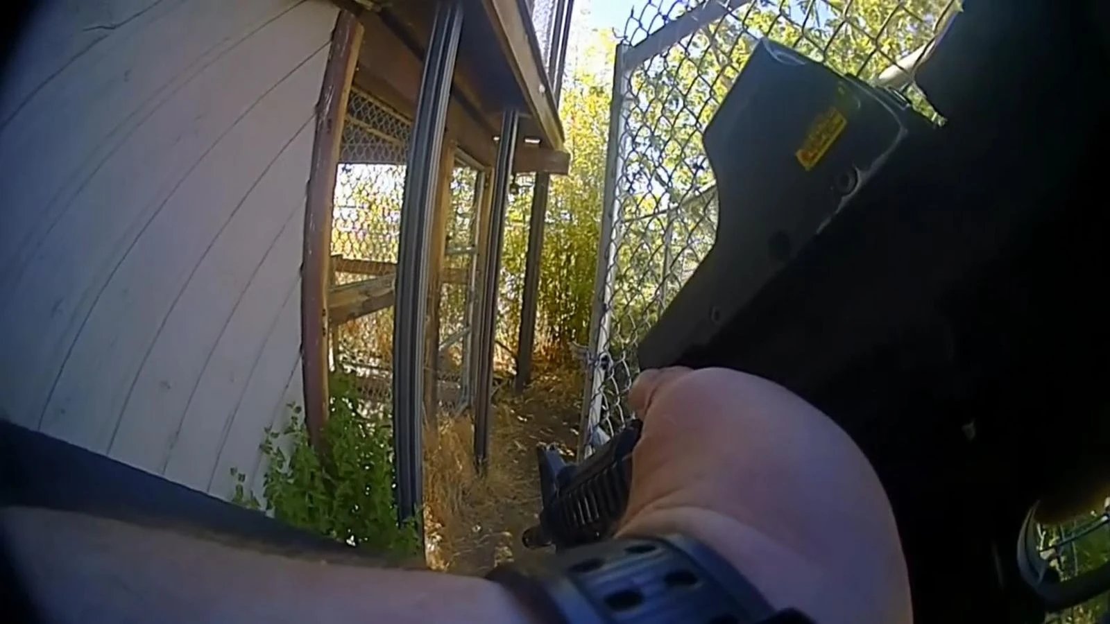 Deputy kills pet chimpanzee that attacked woman