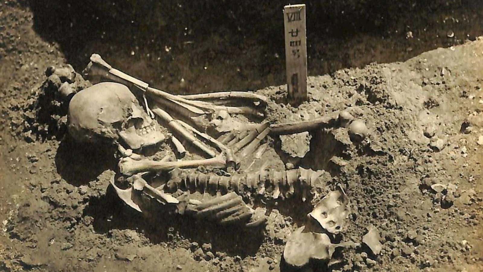 Man who died 3,000 years ago is earliest known shark attack victim