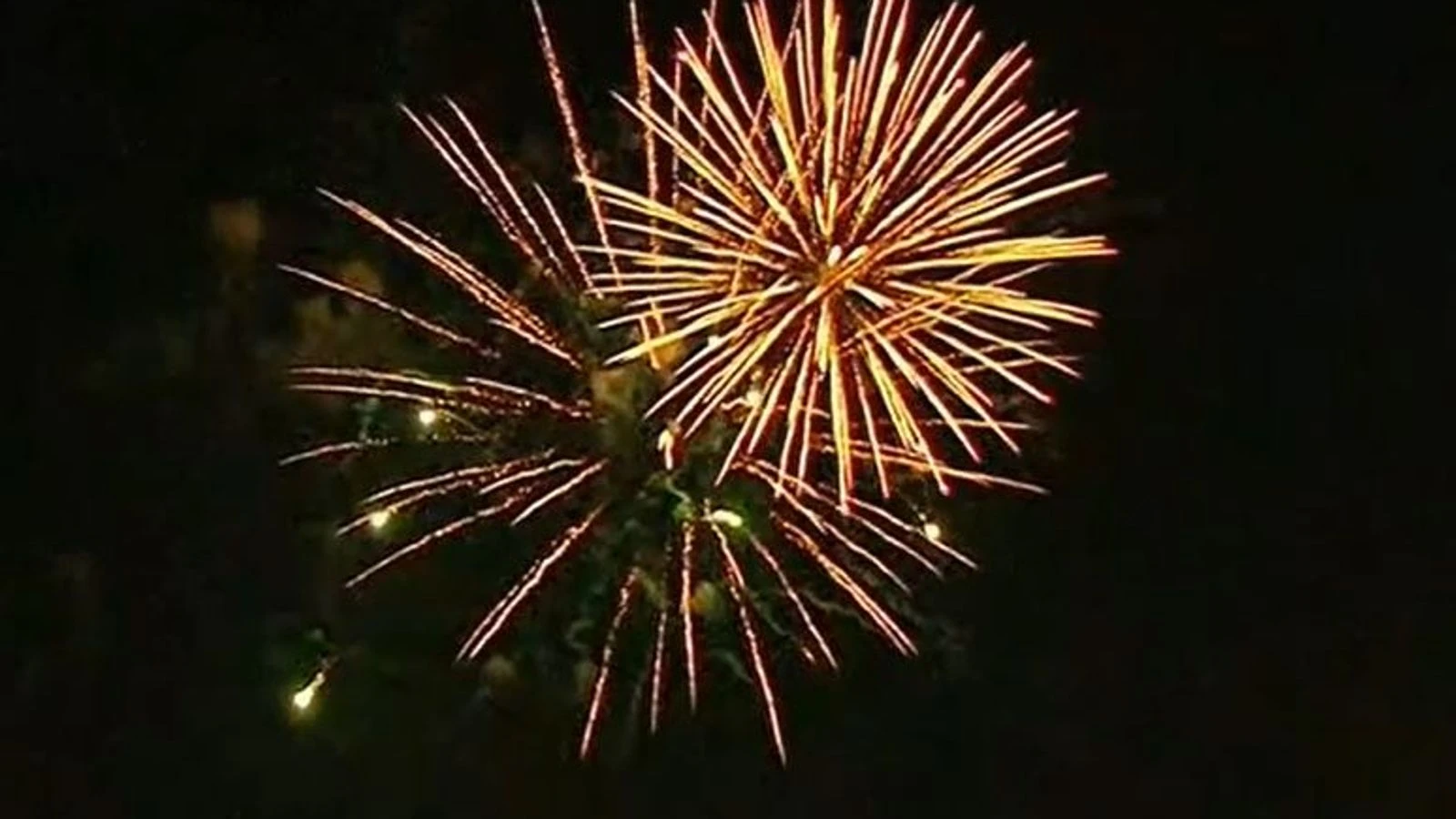 New York fireworks for COVID vaccine milestone