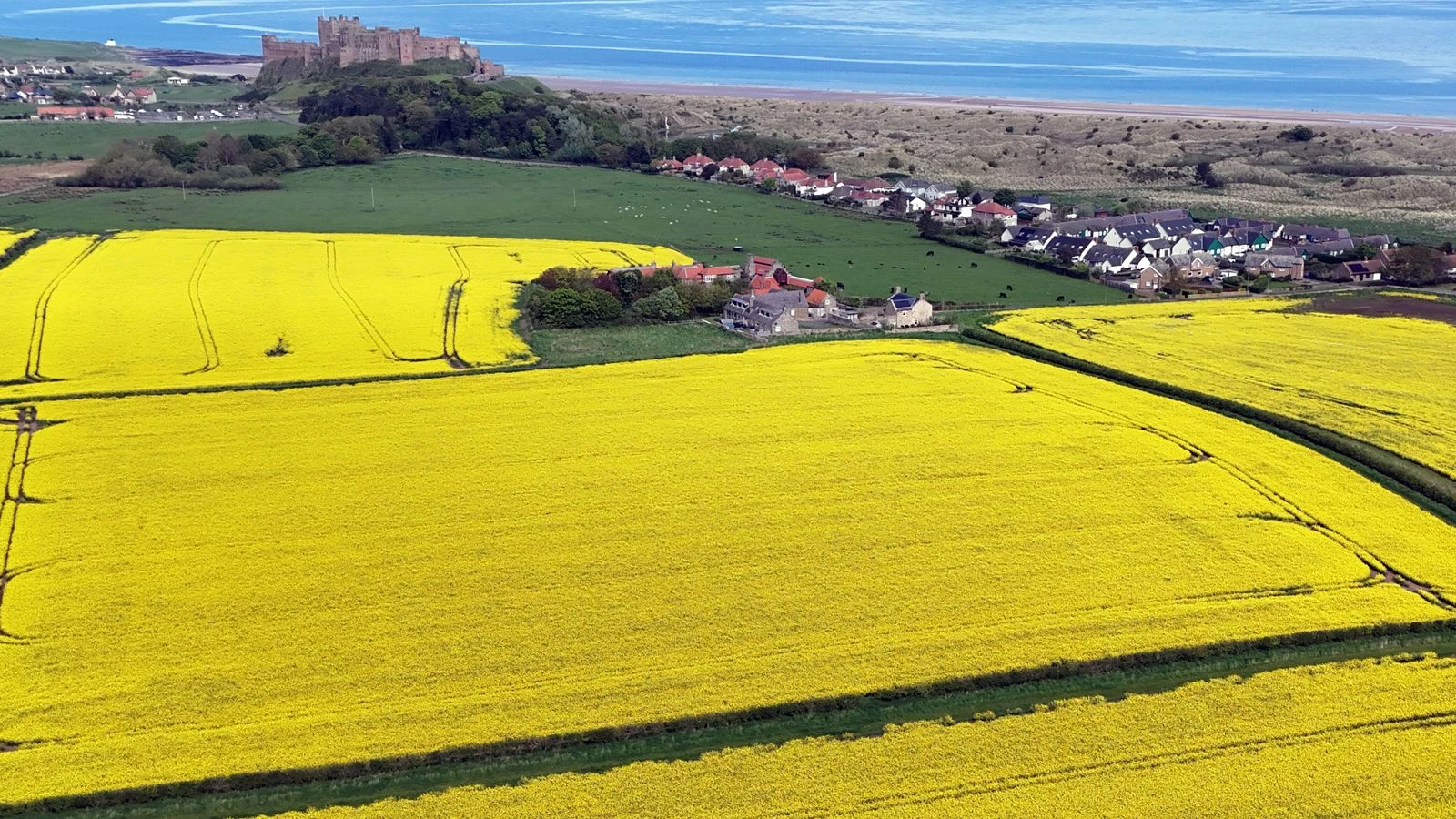 UK could bask in 28C heat - before 'thundery downpours' end weekend 'with a bang'