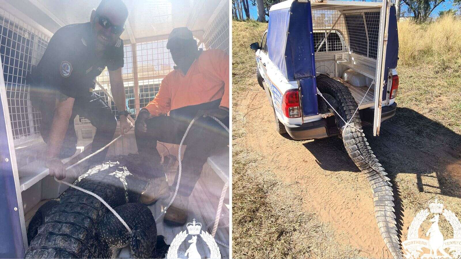 Crocodile that lunged at children is shot and cooked for local residents