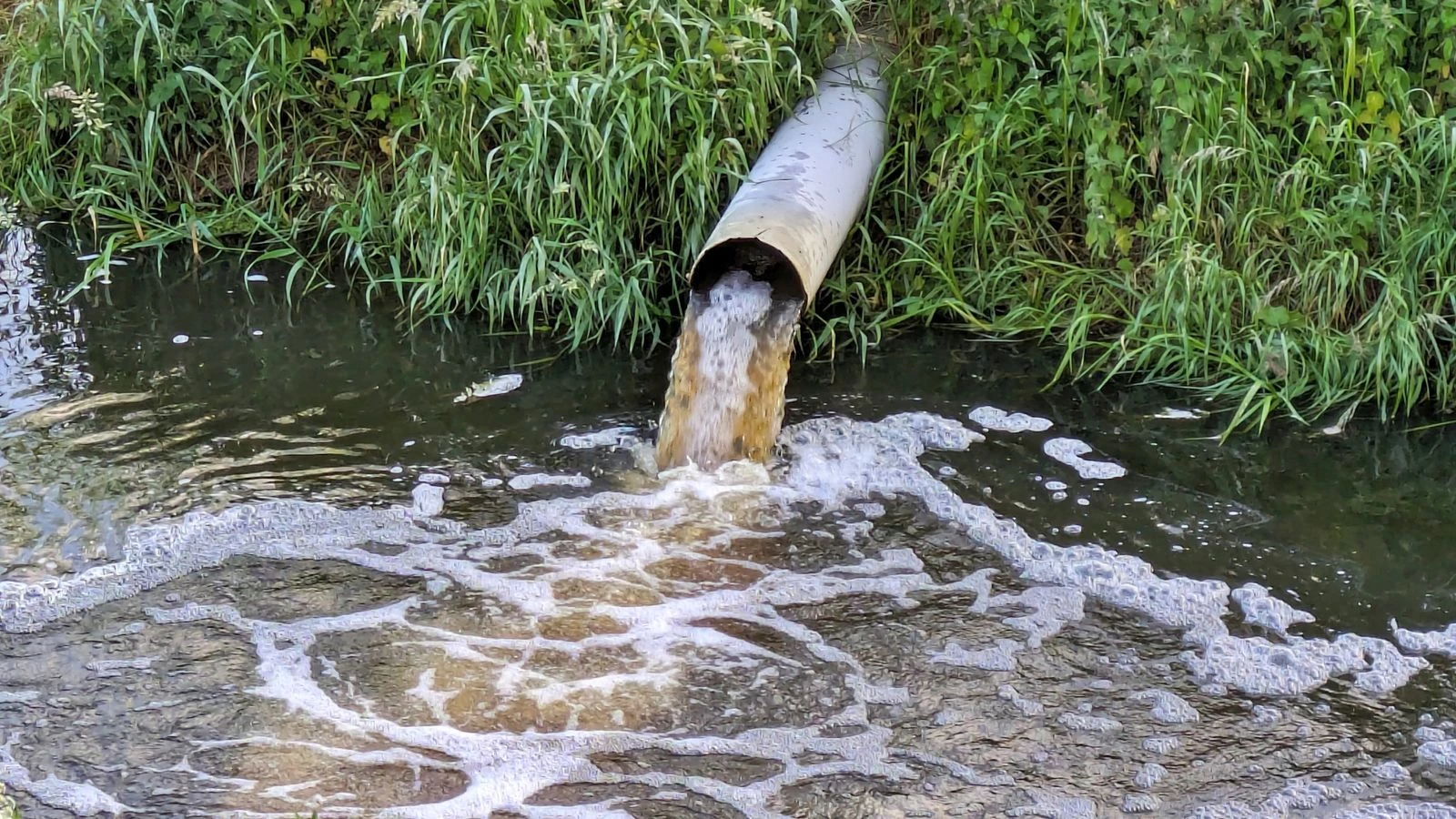 Water company fined £1.35m over sewage discharge monitoring