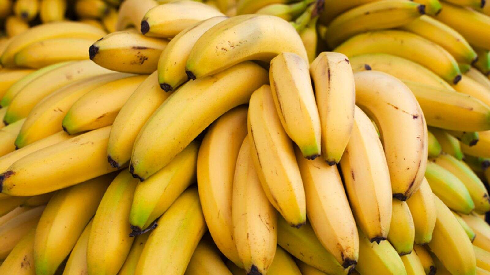 Minister's staff insist on banana-free rooms due to 'weirdest phobia'