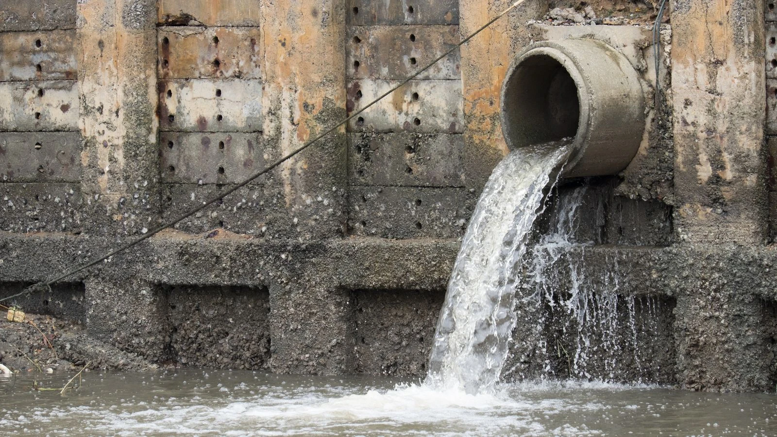 Why aquatic life is facing a double whammy as sewage overflows spill into rivers
