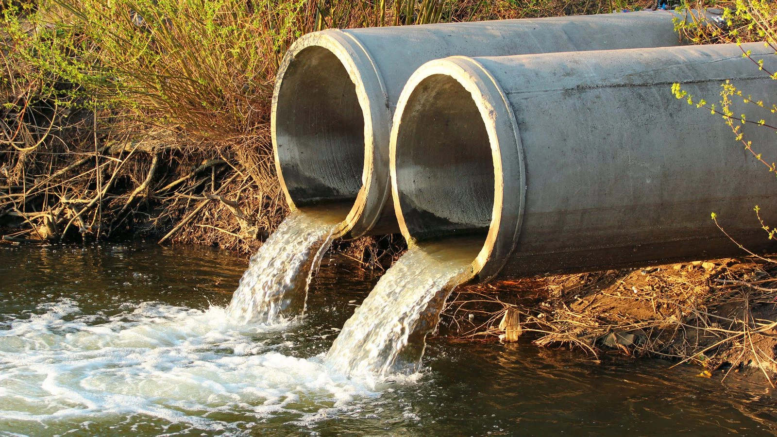 Ofwat to be swept away on tide of public anger over sewage spills