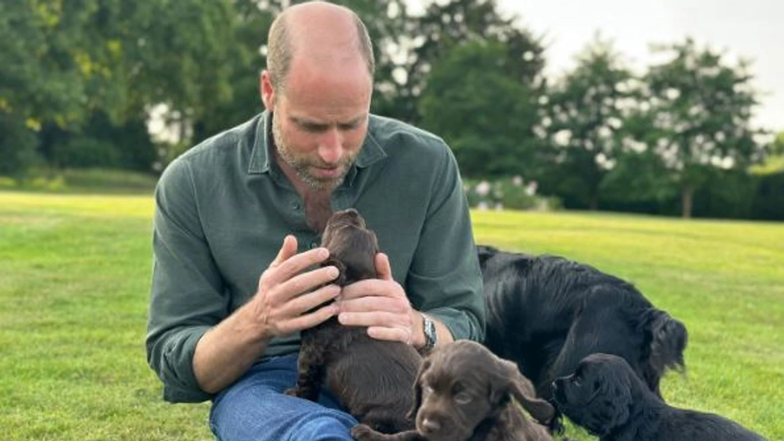 Prince of Wales plays with family dog and her new puppies in picture marking 43rd birthday