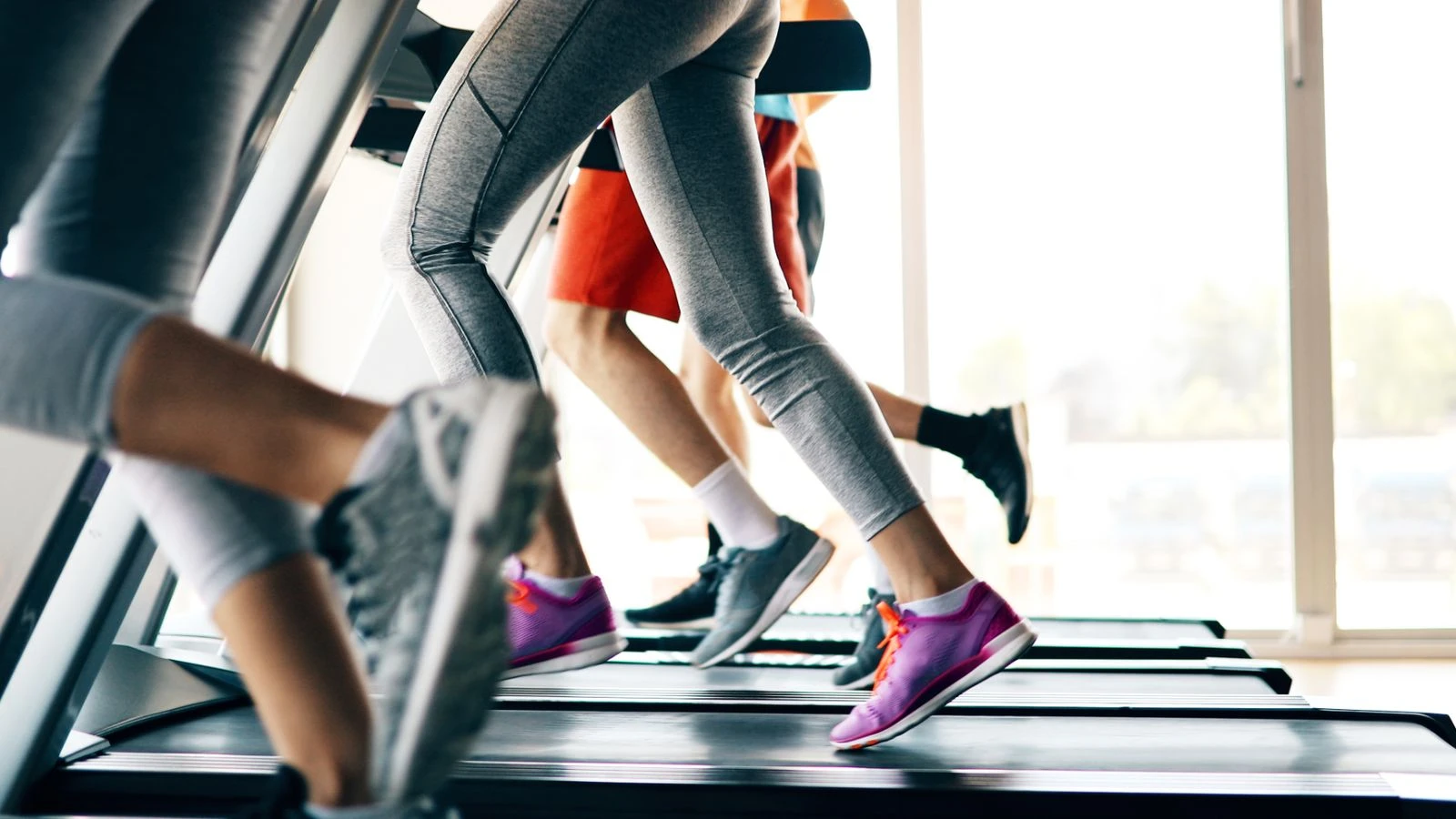 David Lloyd Leisure owner TDR Capital close to finalising £2bn 'sale'