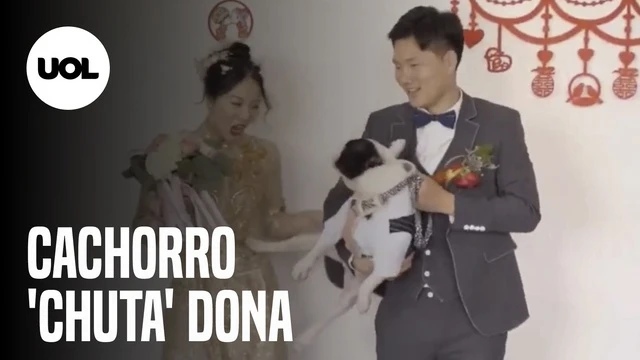 Cachorro 'chuta' dona para expulsá-la de foto de casamento na China